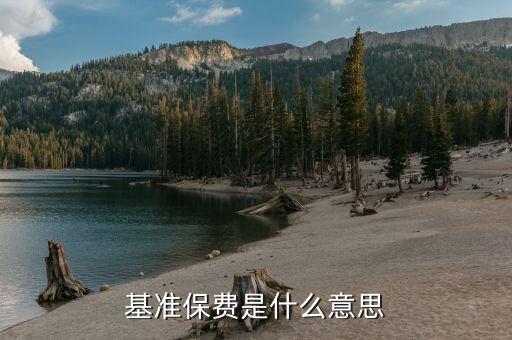 標(biāo)準(zhǔn)保費(fèi)是什么意思，請(qǐng)問(wèn)基本保險(xiǎn)費(fèi)和標(biāo)準(zhǔn)保險(xiǎn)費(fèi)分別是什么