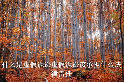 什么是虛假訴訟，什么是虛假訴訟罪