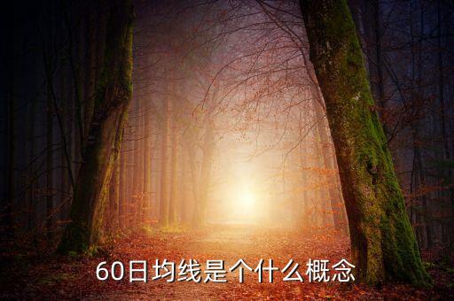 60日均線(xiàn)是個(gè)什么概念