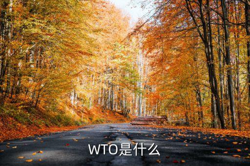 wto指的是什么，WTO是什么