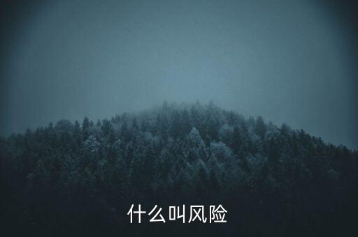 什么叫增量風(fēng)險(xiǎn)，什么叫增多了國(guó)際投資增加了國(guó)際風(fēng)險(xiǎn)
