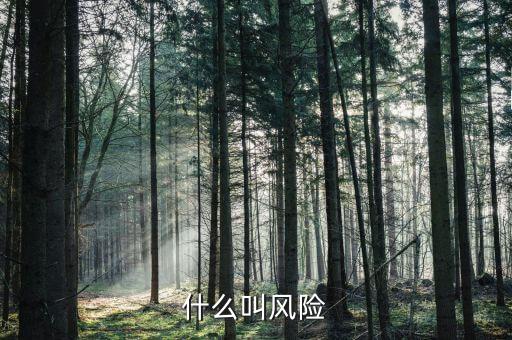 什么叫風(fēng)險