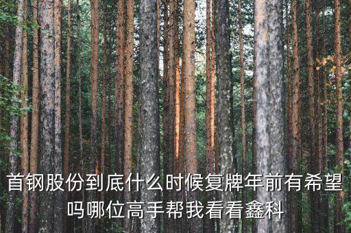 首鋼股份到底什么時(shí)候復(fù)牌年前有希望嗎哪位高手幫我看看鑫科