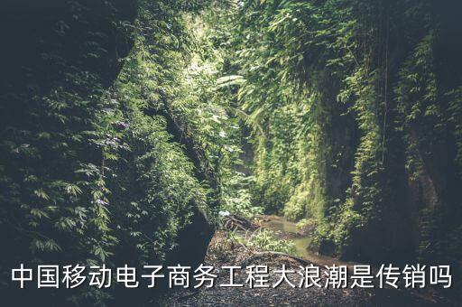 中國移動電子商務工程大浪潮是傳銷嗎