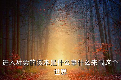 進入社會的資本是什么拿什么來闖這個世界
