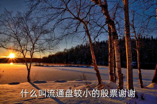 流通股很少的股票有什么特點，流通值小流通股本小的特點是什么