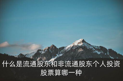 什么是流通股東，請問流通股是什么意思