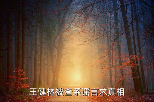 為什么不查王健林，王健林被查系謠言求真相