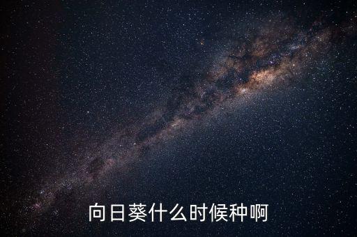 向日葵定增什么時候啊，什么時候種向日葵
