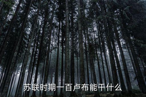 蘇聯(lián)時期一百盧布能干什么
