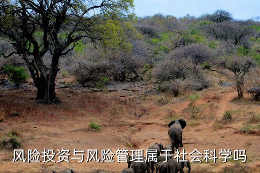 風險管理屬于什么專業(yè)，風險投資與風險管理屬于社會科學嗎