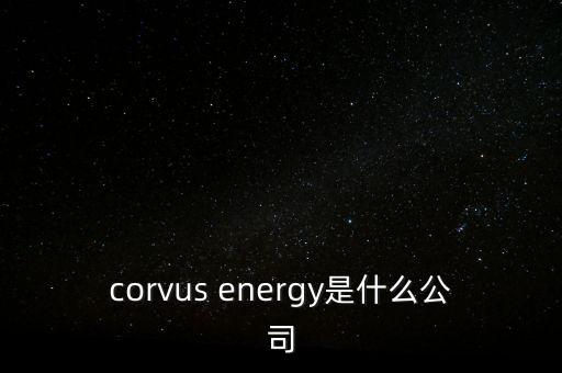 智慧松德是什么公司，corvus energy是什么公司