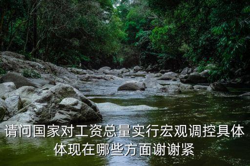 請(qǐng)問(wèn)國(guó)家對(duì)工資總量實(shí)行宏觀調(diào)控具體體現(xiàn)在哪些方面謝謝緊