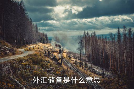 外匯儲備是什么意思