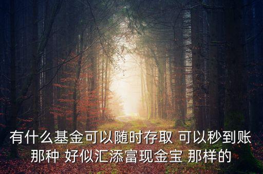 什么基金秒到，有什么基金可以隨時(shí)存取 可以秒到賬那種 好似匯添富現(xiàn)金寶 那樣的
