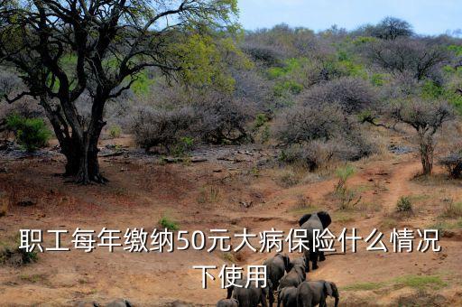 一年50元是什么大病保險(xiǎn)，意外加疾病險(xiǎn)一年多少錢(qián)