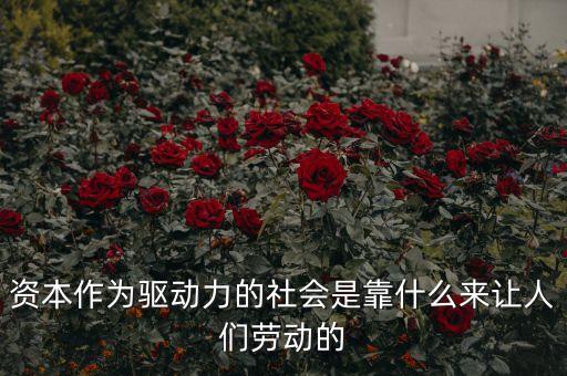 資金驅(qū)動(dòng)力有什么用，資本作為驅(qū)動(dòng)力的社會(huì)是靠什么來(lái)讓人們勞動(dòng)的