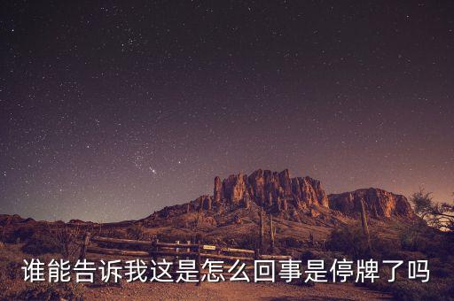 誰(shuí)能告訴我這是怎么回事是停牌了嗎