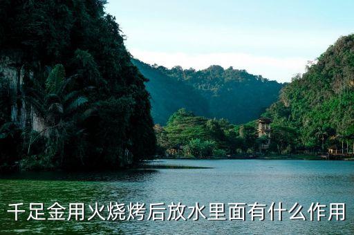 黃金放水里有什么反應(yīng)，把金子放在水因上會(huì)出現(xiàn)什么情況