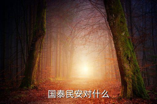 國泰民安是什么保險，國泰民安和國泰平安是一個意思嗎