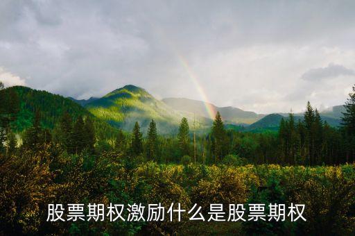 什么是股票期權(quán)激勵(lì)，股票期權(quán)激勵(lì)什么是股票期權(quán)