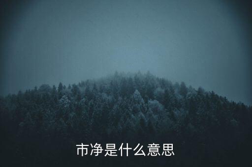 什么叫市凈率，什么是市凈率和市盈率