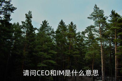 光大富尊IM是是什么，請問CEO和IM是什么意思