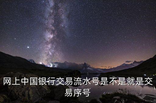 中國銀行企業(yè)網銀轉賬批次號什么意思，企業(yè)網銀客戶號是什么意思