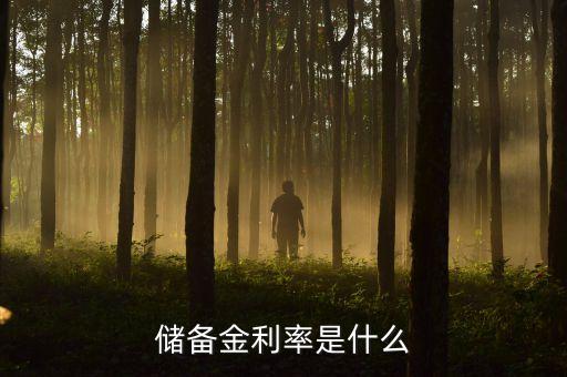 儲(chǔ)備金利率是什么