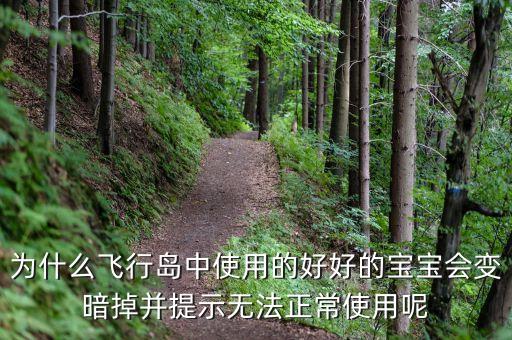 為什么飛行島中使用的好好的寶寶會(huì)變暗掉并提示無法正常使用呢