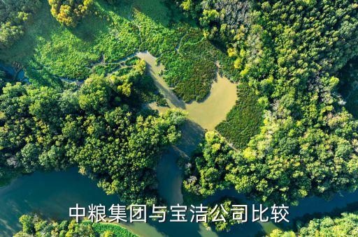 中糧集團(tuán)與寶潔公司比較