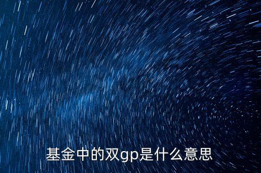 基金gp什么意思，什么是 GPLPPEVCFOF