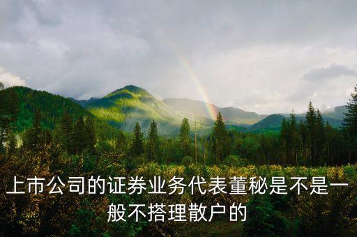 上市公司的證券業(yè)務(wù)代表董秘是不是一般不搭理散戶的