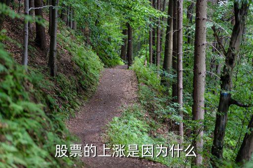 股市為什么大漲，股票的上漲是因為什么
