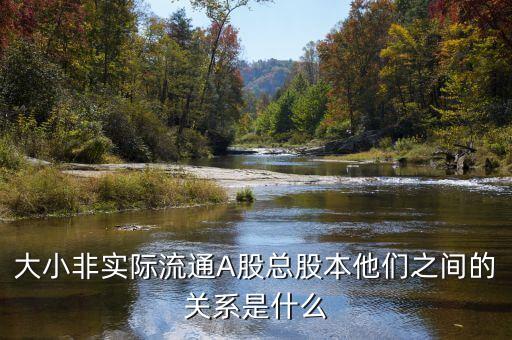 大小非實際流通A股總股本他們之間的關系是什么