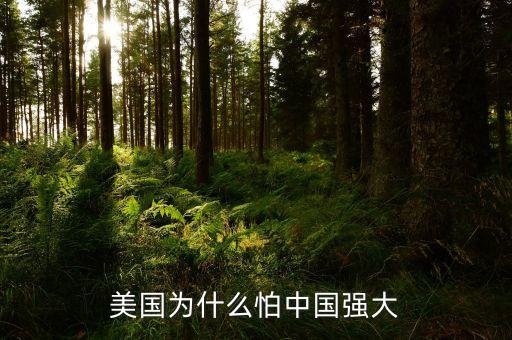 美國(guó)為什么怕中國(guó)強(qiáng)大