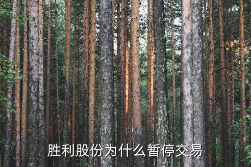 勝利股份為什么停牌，勝利股份為什么暫停交易