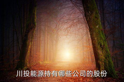 川投集團(tuán)是什么單位，四川投資集團(tuán)川投怎么樣