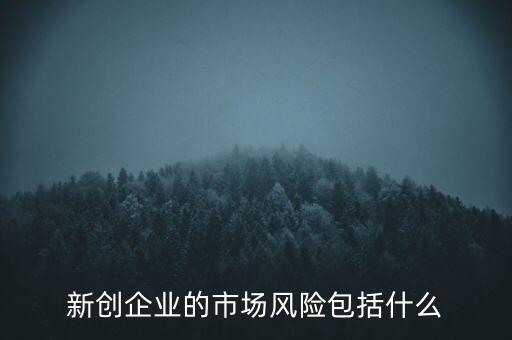 新創(chuàng)企業(yè)的市場風(fēng)險包括什么