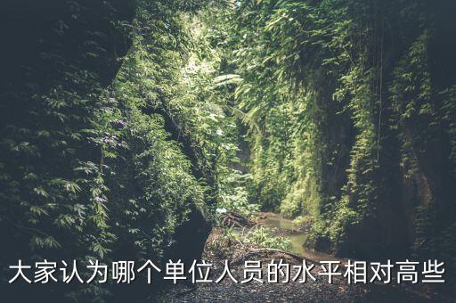 大家認(rèn)為哪個(gè)單位人員的水平相對(duì)高些