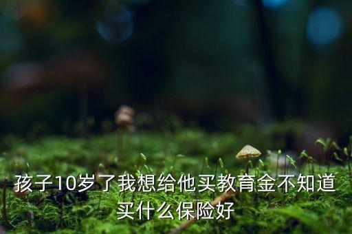 十歲小孩買什么教育金加保險好，小孩子10歲了買什么教育基金或者保險劃算希望是7年到期的