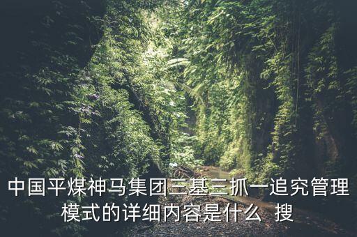 中國平煤神馬集團三基三抓一追究管理模式的詳細(xì)內(nèi)容是什么  搜