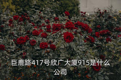 巨鹿路417號(hào)欣廣大廈915是什么公司