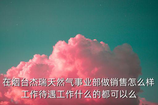 在煙臺(tái)杰瑞天然氣事業(yè)部做銷售怎么樣工作待遇工作什么的都可以么
