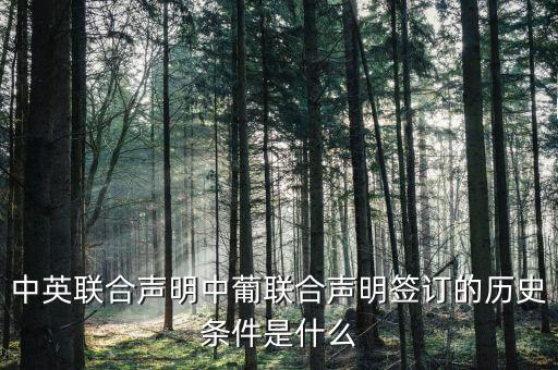在中英聯(lián)合聲明達成的了什么共識，中英聯(lián)合聲明中葡聯(lián)合聲明簽訂的歷史條件是什么