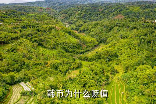 2016韓元為什么對(duì)人民幣貶值，韓幣為什么貶值