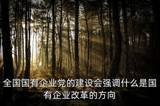 全國國有企業(yè)黨的建設會強調什么是國有企業(yè)改革的方向