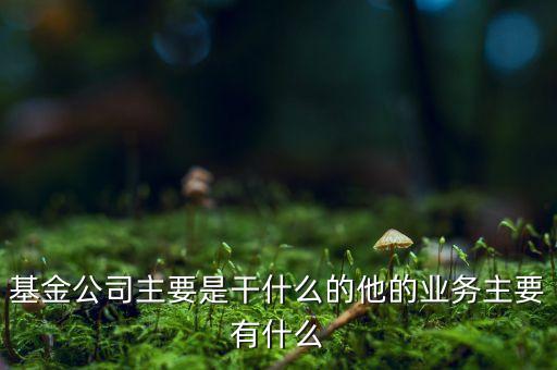 基金公司都做什么，在基金公司工作都干些什么工作