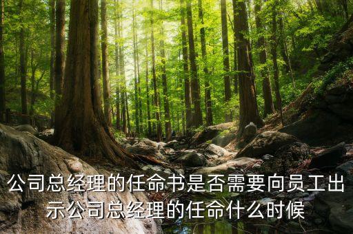 國企高管任免時(shí)間什么時(shí)候，國企的領(lǐng)導(dǎo)負(fù)責(zé)人是怎么任免的