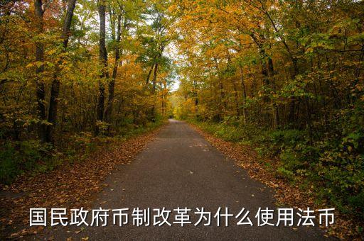 為什么法幣體系，抗戰(zhàn)時期中國為什么用法幣